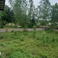 ویلای باغ ۲ هزار متری جاده ماسال|فروش خانه و ویلا|طاهرگوراب, |دیوار