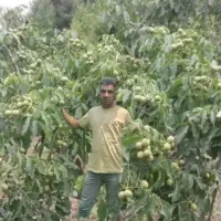 نهالستان بهارنهال