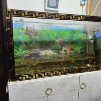 فروش لوازم آکواریوم