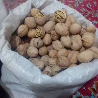 گردو کاغذی وتوت همه رقم