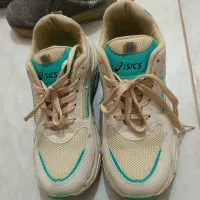 کفش و پرده|لوازم خیاطی و بافتنی|انار, |دیوار