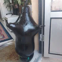 هیزه گوسفندی