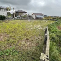 1100متر-زمین-مسکونی-با-سند-تک-برگ-لنگرود