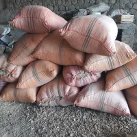 علف همه گیاه