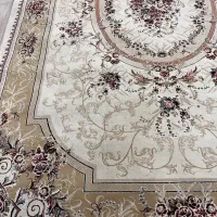 چهار عدد فرش مشهد|فرش|رشت, کاکتوس|دیوار