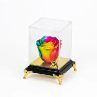 نمایندگی پخش در هر استان|استخدام بازاریابی و فروش|تهران, هلال احمر|دیوار