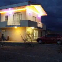 باغ بادام نیمه کاغذی دارای ۶۰۰درخت