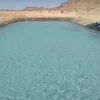 فروش زمین کشاورزی در راین روستای ده ملک|فروش زمین و ملک کلنگی|راین, |دیوار