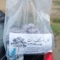 زغال کبابی/زغال خودسوز