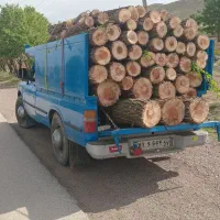 خرید چوب به قیمت بالا