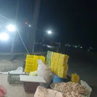 سیر وازاد برای مرغ داری