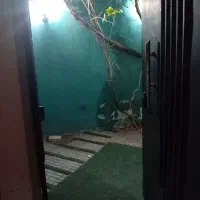 *اجاره اداری،خدمات زیبایی دربهترین موقعیت زیباشهر
