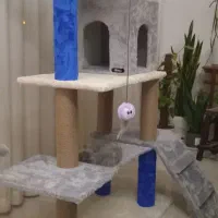 اسکرچر گربه برند ninapet