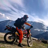 همکاری در طبیعت گرد ی