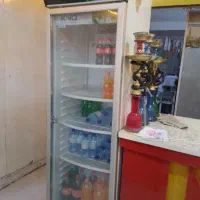 یخچال کینو|فروشگاه و مغازه|آمل, |دیوار