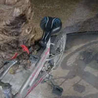 دوچرخه ۲۰|دوچرخه، اسکیت، اسکوتر|زهک, |دیوار