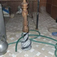 قلیون میوه ای