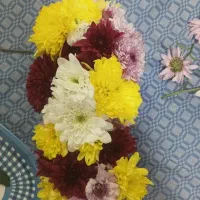 باکس گل وگل ارایی