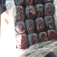 خرما مضافتی بم موجود هست دارم میام مشهم قیمت م