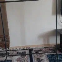 رگال وحلقه ورزشی