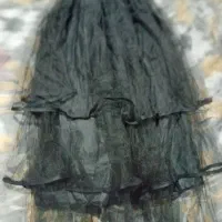 دامن . مجلسی