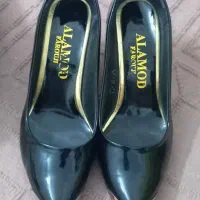 کفش مجلسی|کیف، کفش، کمربند|کاشمر, |دیوار