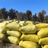 کاه گندم|خدمات باغبانی و درختکاری|ننور, |دیوار