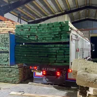 فروش چوب تخته قامه صنوبر سفید جنگلی و توسکا|عمده‌فروشی|چمستان, |دیوار