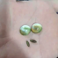 مهره. نو
