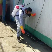 سمپاشی *موریانه زدایی سم پاشی ساس سوسک کل خوزستان|خدمات نظافت|اهواز, زیتون کارمندی|دیوار