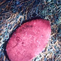 سنگ|کلکسیون اشیاء عتیقه|تهران, افسریه جنوبی|دیوار