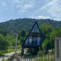 اجاره-کلبه-سوییسی