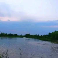 فروش فوری استخر پرورش ماهی