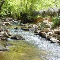 توریه روزه مختص خانم ها روستای زیبای پسکوهک
