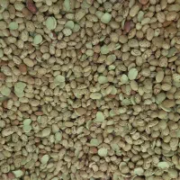 فروش لوبیا چیتی