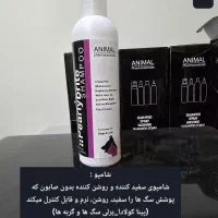 بهداشت حیوانات|لوازم جانبی حیوانات|شیراز, شهرک مهدیه|دیوار
