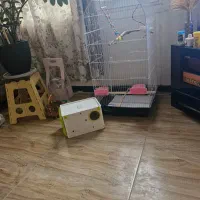 قفس یک متری و لانه و لوازم|لوازم جانبی حیوانات|چاف و چمخاله, |دیوار