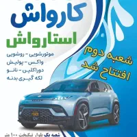 نیروی کار کارواش