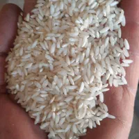 برنج عنبربواصل شوشتر ۱۰۰در۱۰۰تضمینی رباط کریم|خوردنی و آشامیدنی|رباطکریم, رباطکریم|دیوار