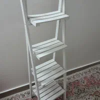 شلف