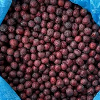 زرشک زعفران عناب بیرجند قائن (ضمانت مرجوعی)|خوردنی و آشامیدنی|تهران, قصر فیروزه ۱|دیوار