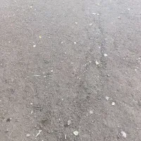 فروش زمین|فروش زمین و ملک کلنگی|شاهین دژ, |دیوار