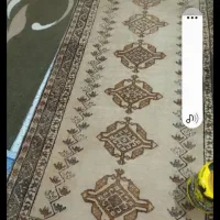 گبه با پشم گوسفند