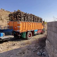 برش و خرید انواع چوب باغی|خدمات باغبانی و درختکاری|داراب, |دیوار