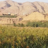 جارو-کشاورزی