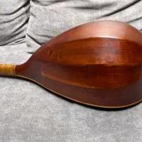 تنبور نریمان ابنوسی قدیمی|سازهای سنتی|تهران, تجریش|دیوار