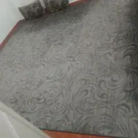 پالاز موکت درحد نو دوعدد با چندتا پادری موجوده