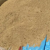 جو محلی پر عالی