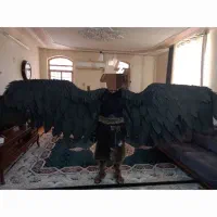 فروش فوری دوعددبال زیباقیمت توافقی