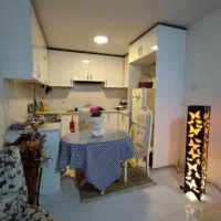 اجاره مبله روزانه المپیک ، جنت اباد|اجارهٔ کوتاهمدت آپارتمان و سوئیت|تهران, زیبادشت|دیوار